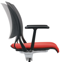 Novello Chair Back Novello Chair Back