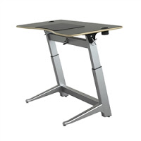 Safco Standing Desk