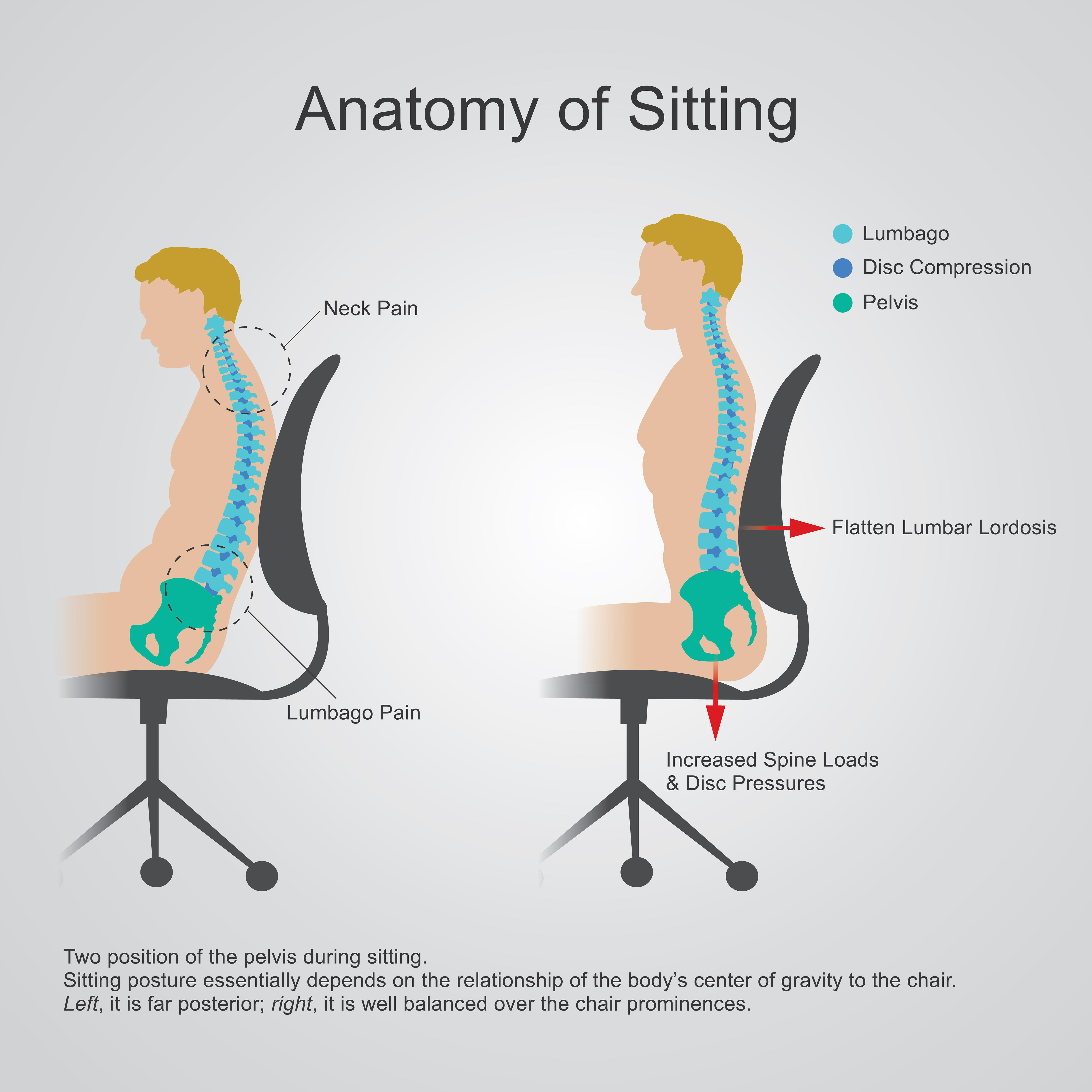 Proper Way to Sit in a Chair Diagram