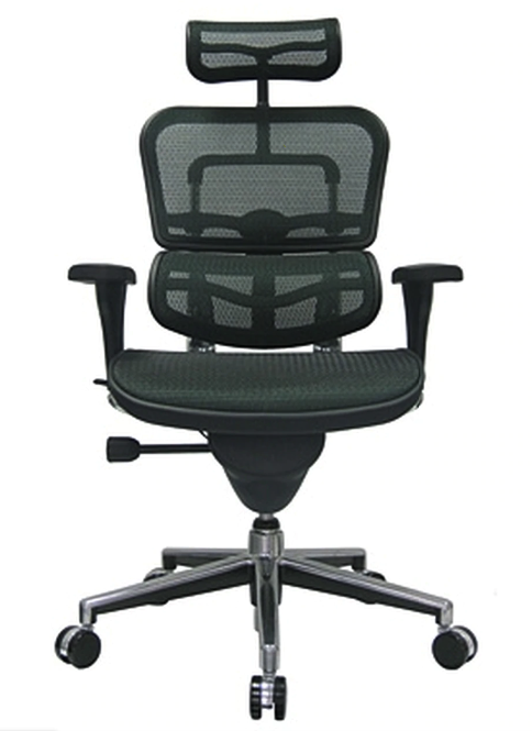 Eurotech Ergohuman Mesh Back Office Chair